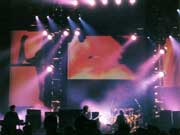 Live Preview